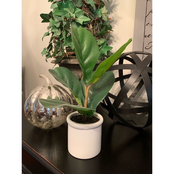 Small Faux Fiddle Leaf Fig Plant